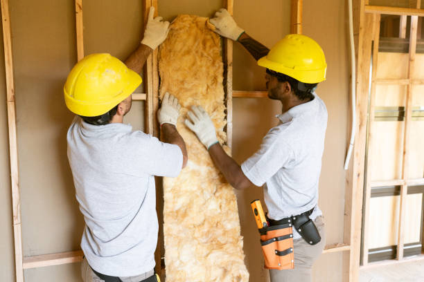 Best Insulation Repair Services  in USA